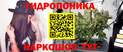 прущие грибы Коммунар