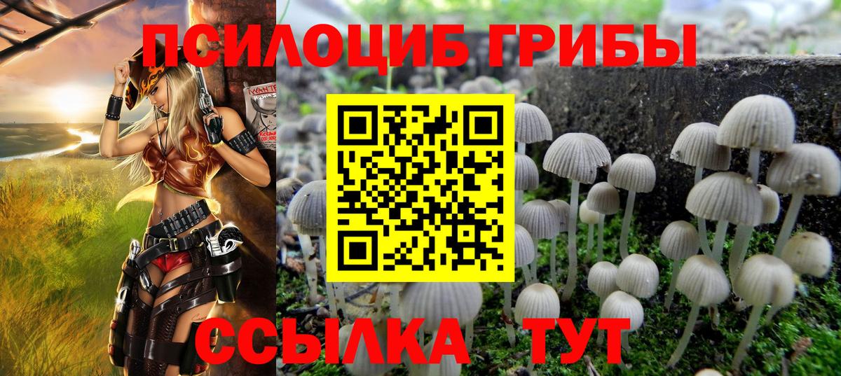 Псилоцибиновые грибы мицелий Лесной