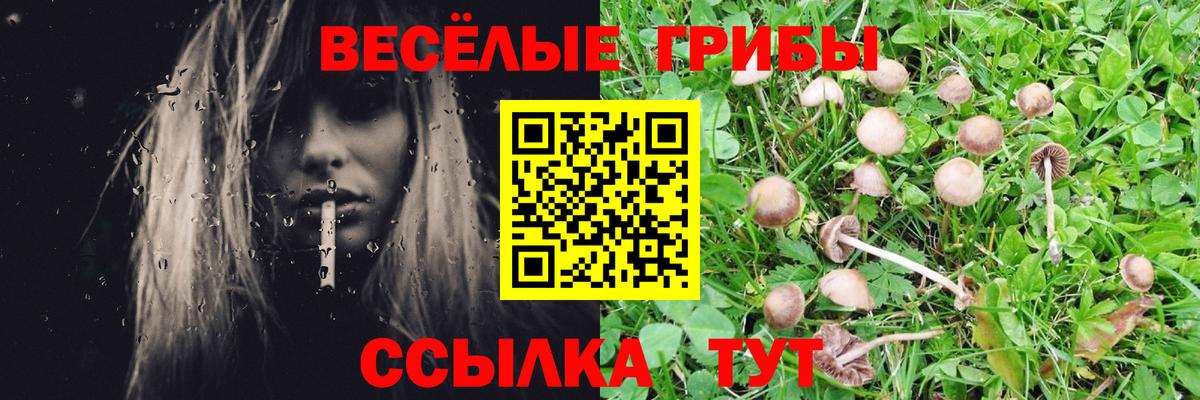 Галлюциногенные грибы Лесной